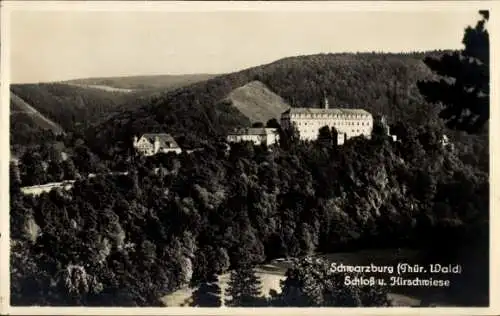 Ak Schwarzburg in Thüringen, Schloss, Hirschwiese