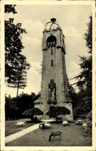 Ak Bad Pyrmont Niedersachsen, Fischmarkt, Bismarckturm, Pferd