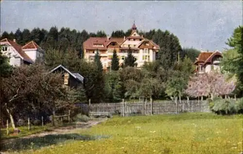 Ak Freudenstadt im Schwarzwald, Hotel Waldlust