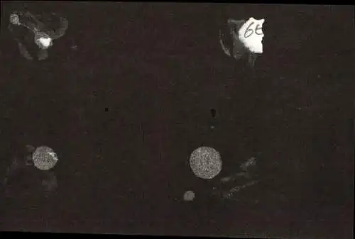 Foto Automobil auf einer Straße