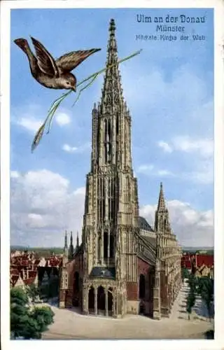 Passepartout Ak Ulm an der Donau, Münster, Spatz mit Ähre im Schnabel