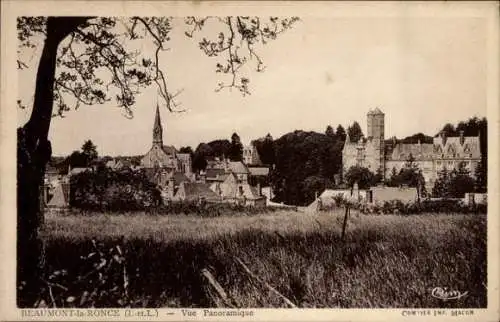 Ak Beaumont la Ronce Indre et Loire, Panorama