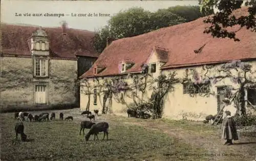Ak Leben auf den Feldern, Der Hof