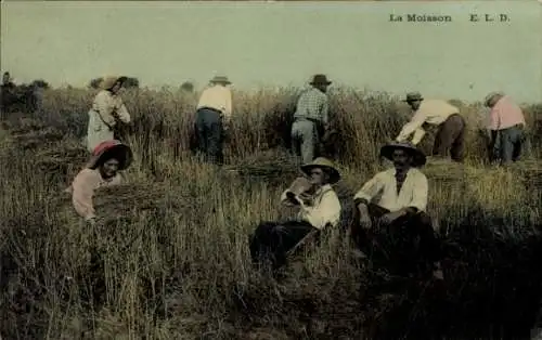 Ak Heuernte, Bauern, Getreide, Feld, Landwirtschaft