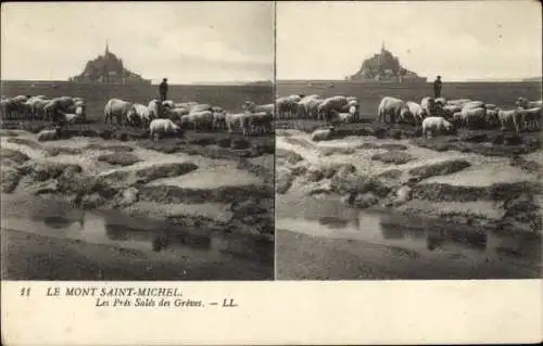 Stereo Ak Le Mont Saint Michel Manche, Les Pres Sale des Greves