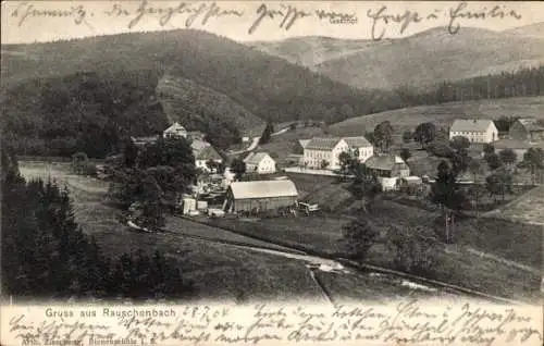 Ak Rauschenbach Neuhausen im Erzgebirge, Teilansicht vom Ort mit Umgebung
