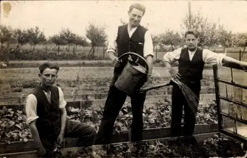 Foto Ak Crossen Erlau in Sachsen, junge Männer gießen das Beet