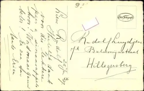 Ak Hund, Tierportrait, Kopfstudie