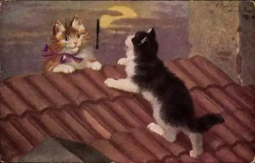 Künstler Ak Sperlich, S., Zwei kleine Katzen auf einem Hausdach