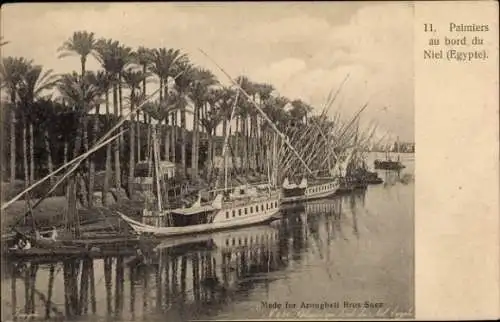 Ak Ägypten, Boote am Nil Ufer, Palmen