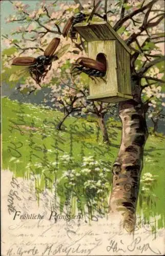 Litho Glückwunsch Pfingsten, Maikäfer, Blühender Baum, Vogelhäuschen