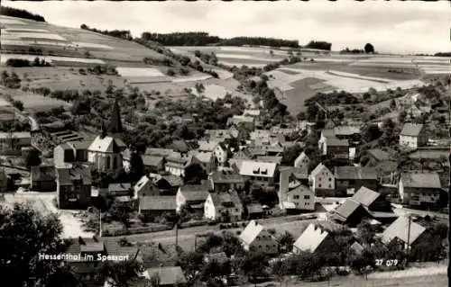 Ak Hessenthal Mespelbrunn im Spessart, Totalansicht, Gasthaus und Pension Waldhaus