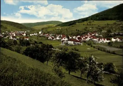 Ak Hobbach Eschau im Spessart, Panorama