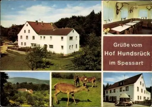 Ak Eschau im Spessart, Hof Hundsrück, Rotwild, Außenansicht, Gastraum