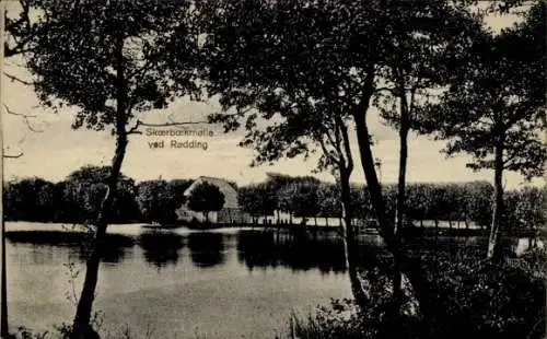 Ak Rødding Rödding Dänemark, Skoerboekmolle