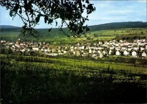 Ak Niederjosbach Eppstein im Taunus, Panorama