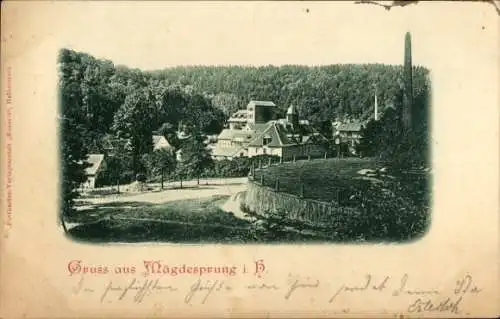 Ak Mägdesprung Harzgerode am Harz, Teilansicht