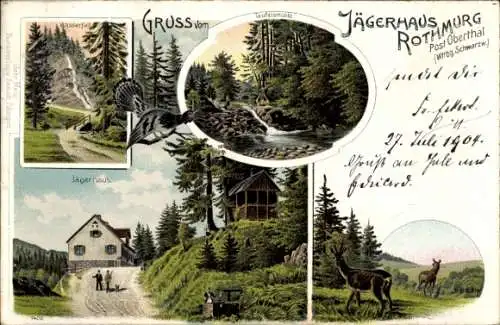 Litho Baiersbronn im Schwarzwald, Jägerhaus Rothmurg, Wasserfall, Rehe