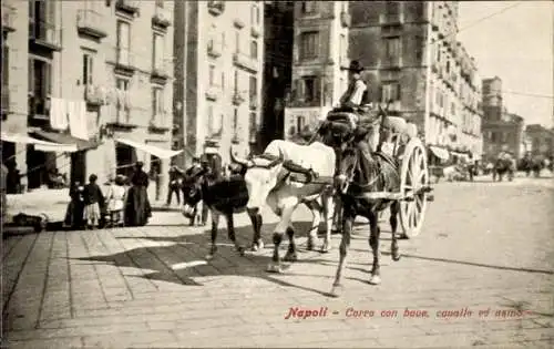 Ak Napoli Neapel Campania, Bauer mit Kutsche, Esel Rind Pferd Gespann