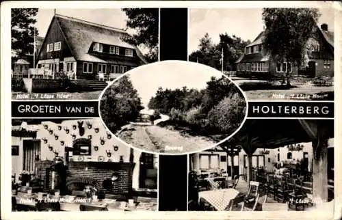 Ak Holterberg Holten Overijssel Niederlande, Hotel innen und aussen
