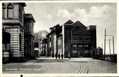 Ak Helgoland in Schleswig Holstein, Biologische Anstalt, Aquarium, Straßenansicht