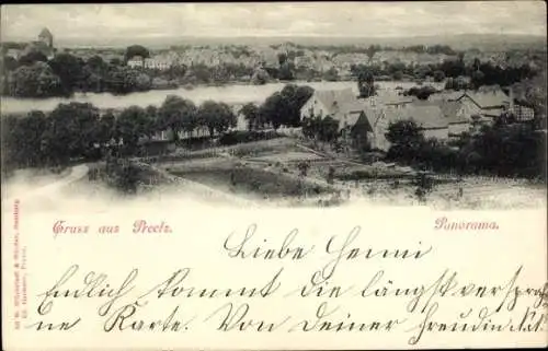 Ak Preetz in Holstein, Panorama
