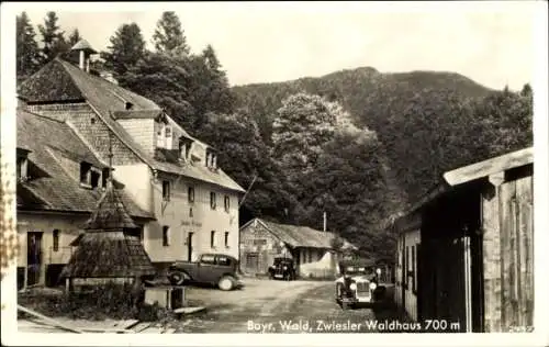 Ak Zwieslerwaldhaus Zwieseler Waldhaus Lindberg im Bayerischen Wald, Gasthaus