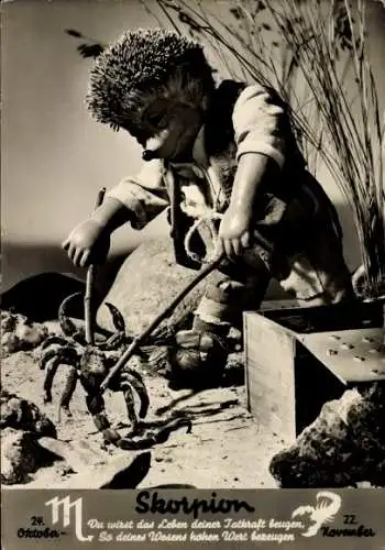 Ak Mecki der Igel, Sternzeichen Skorpion, Scorpio, 24. Oktober bis 22. November