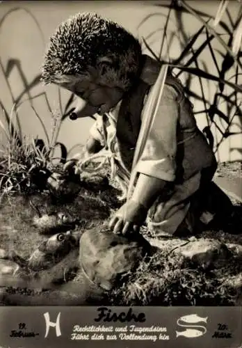 Ak Mecki der Igel, Sternzeichen Fische, Pisces, 19. Februar bis 20. März