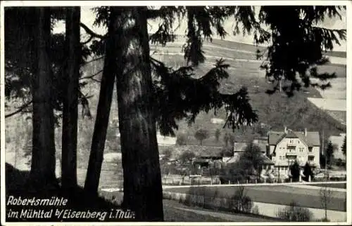 Ak Eisenberg in Thüringen, Robertsmühle