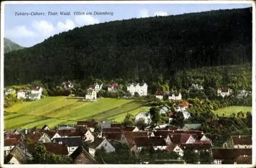 Ak Cabarz Tabarz im Thüringer Wald, Villen am Datenberg