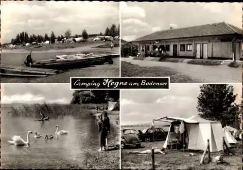 Ak Hegne Allensbach am Bodensee, Campingplatz, Boote am See, Schwäne, Haus, Zelt