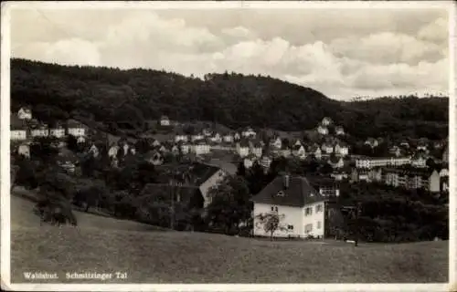 Ak Waldshut Tiengen am Hochrhein, Schmitzingertal