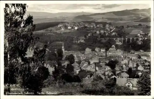 Ak Sebnitz Sächsische Schweiz, Panorama