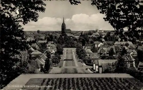 Ak Hildesheim in Niedersachsen, Teilansicht, Blick vom Berghölzchen