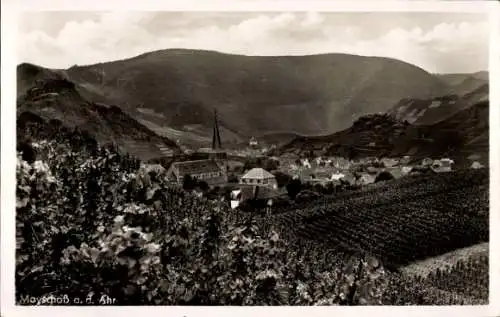 Ak Mayschoß an der Ahr, Panorama, Weinberge