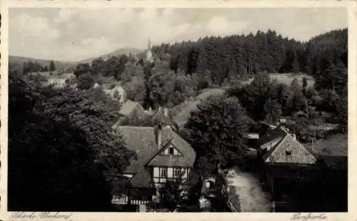 Ak Schierke Wernigerode im Harz, Teilansicht