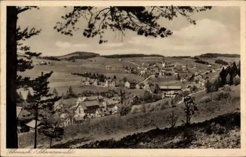 Ak Schonach Schwarzwald, Panorama