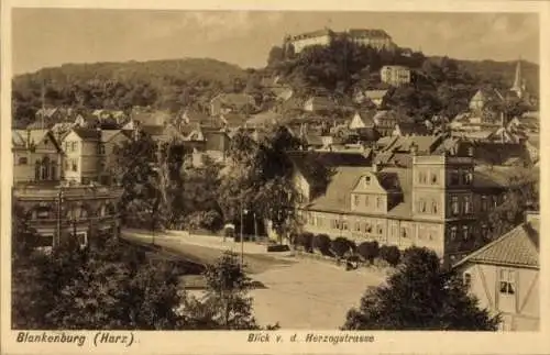 Ak Blankenburg am Harz, Blick v. d. Herzogstraße