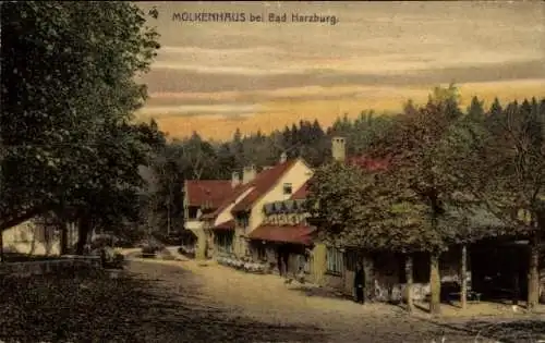 Ak Bad Harzburg in Niedersachsen, Seitenblick auf Molkenhaus, Wald