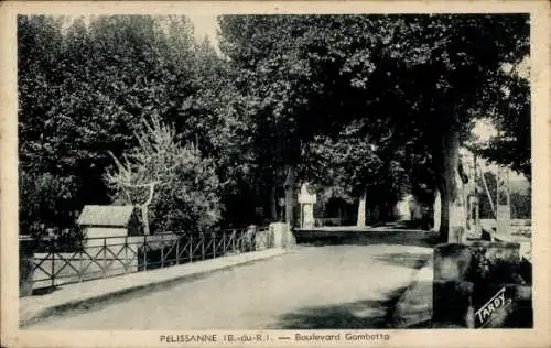 Ak Pélissanne Bouches du Rhône, Boulevard Gambetta