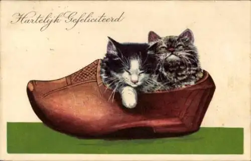 Ak Glückwunsch, Zwei Katzen im Holzschuh