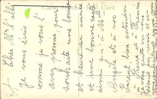 Ak Glückwunsch Neujahr, Zwei Katzen, Truhe mit Blumen, Terrier