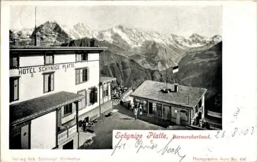 Ak Gündlischwand Kanton Bern, Hotel Schynige Platte