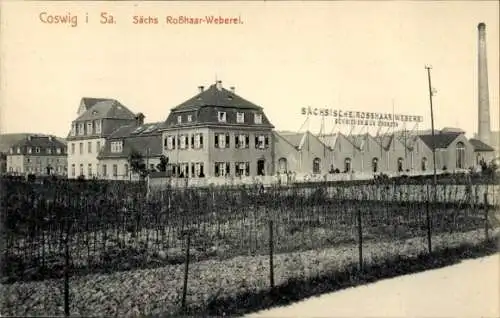 Ak Coswig in Sachsen, Sächsische Roßhaar-Weberei