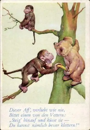 Sammelbild Lustige Bilder Nr. 82, Schimpansen und Teddy auf einem Baum