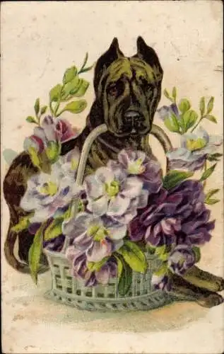 Ak Hund mit Blumenkorb, Blumen, Tierportrait