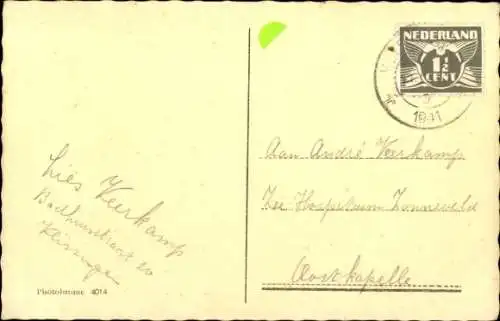 Foto Ak Junge Katze, Tierportrait