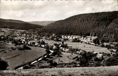 Ak Krausenbach Dammbach im Spessart, Totalansicht, Gasthaus und Pension Zum Löwen