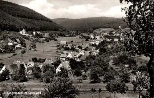 Ak Krausenbach Dammbach im Spessart, Totalansicht, Gasthaus und Pension Zum Spessart